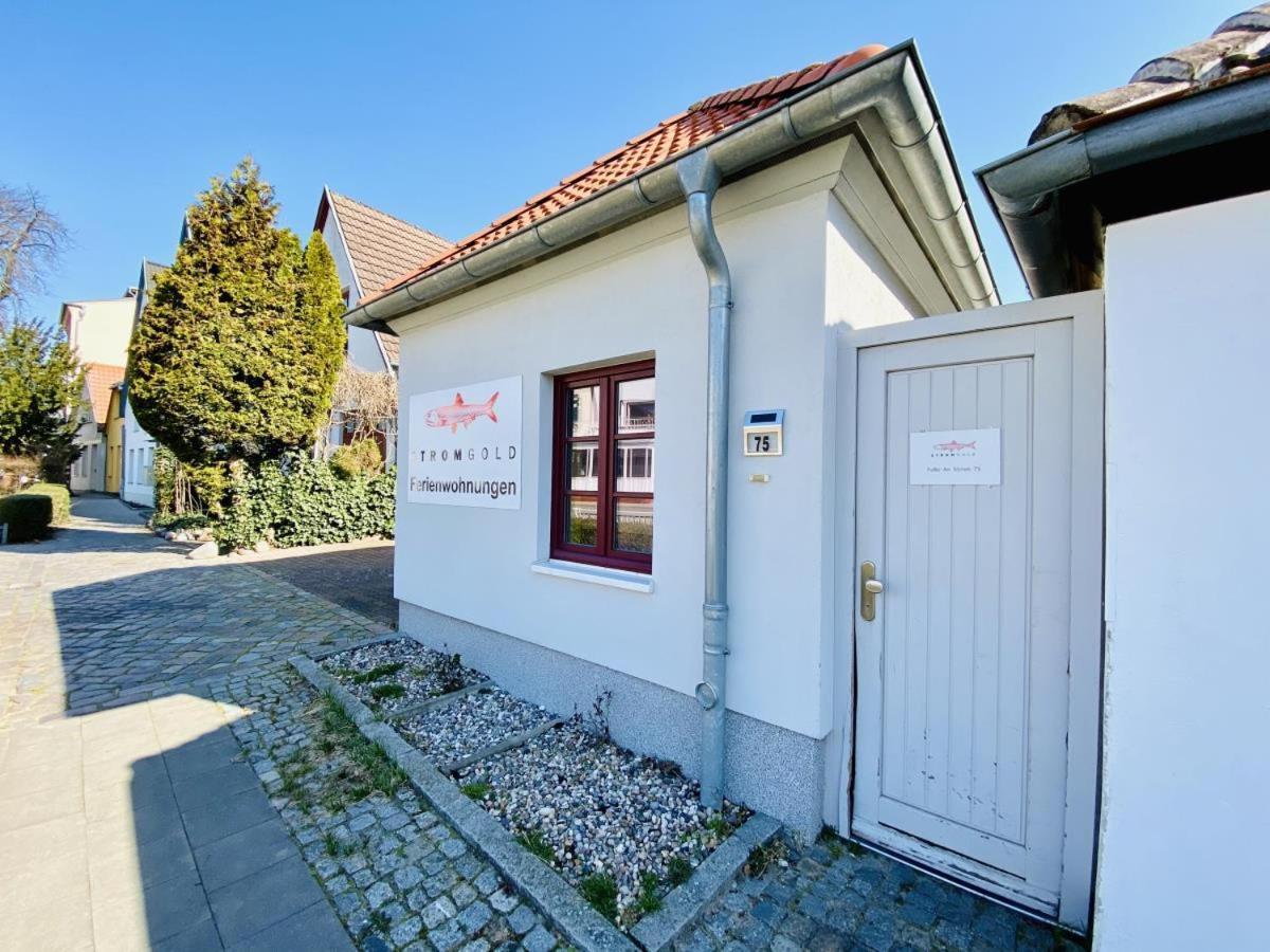 Apartment Doppelzimmer Muschelsucher Rostock